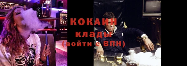 бошки Мегион