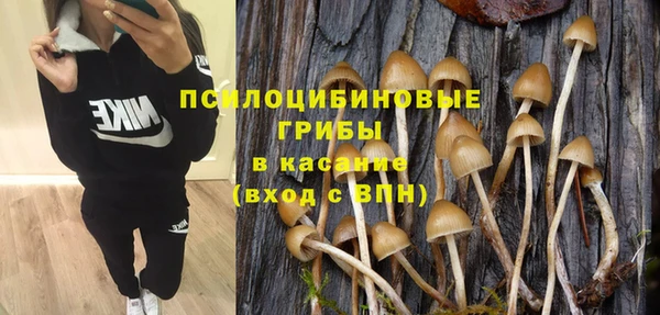 бошки Мегион