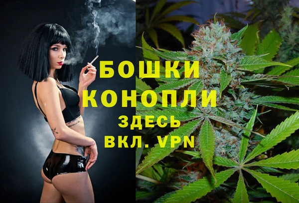 бошки Мегион