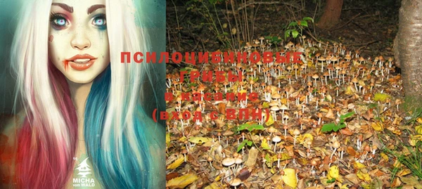 jwh Медногорск