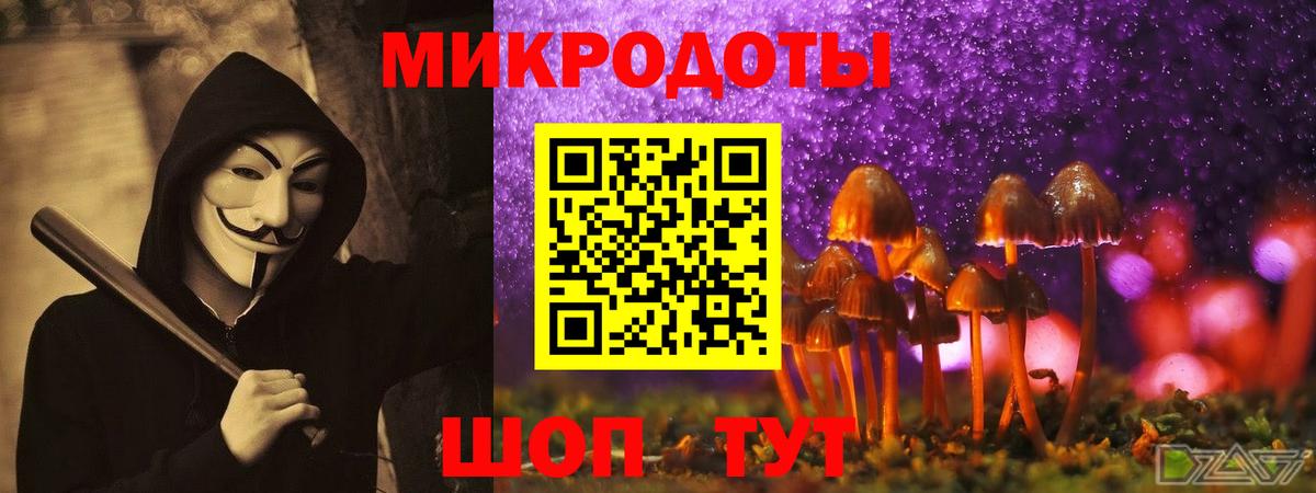 Галлюциногенные грибы Psilocybe  Вход с VPN  Георгиевск 