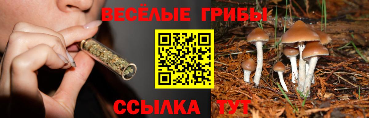 ГАШИШ  Георгиевск  КОКАИН  Вход с VPN  A-PVP  Мефедрон  25-NBOMe  МАРИХУАНА  МАРИХУАНА 